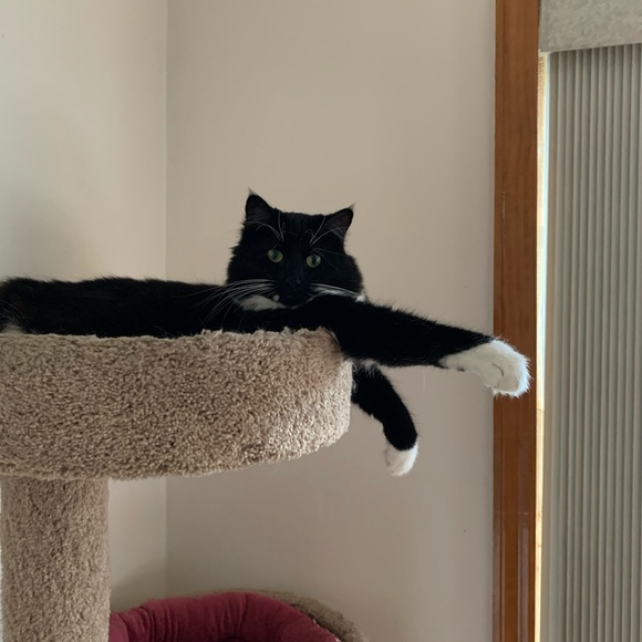 HELLO poshers 🥰 - Picture 7 of 7